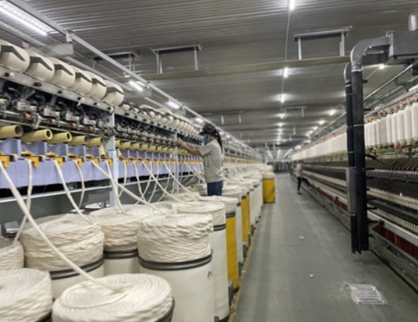 bán sợi cotton chất lượng