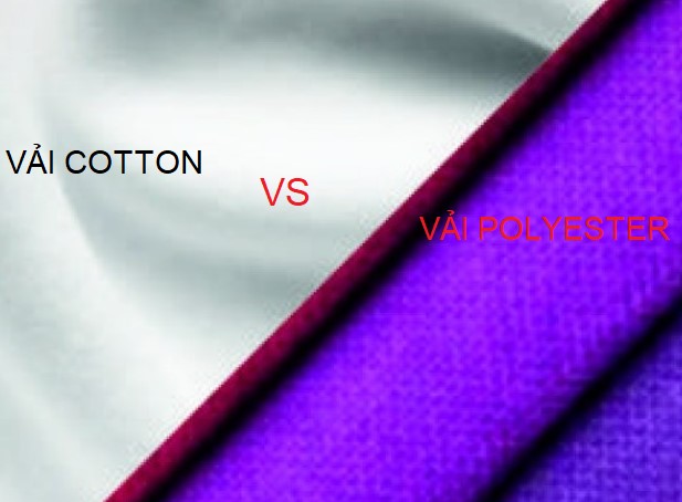 So sánh vải cotton và vải poly - nên chọn loại nào?